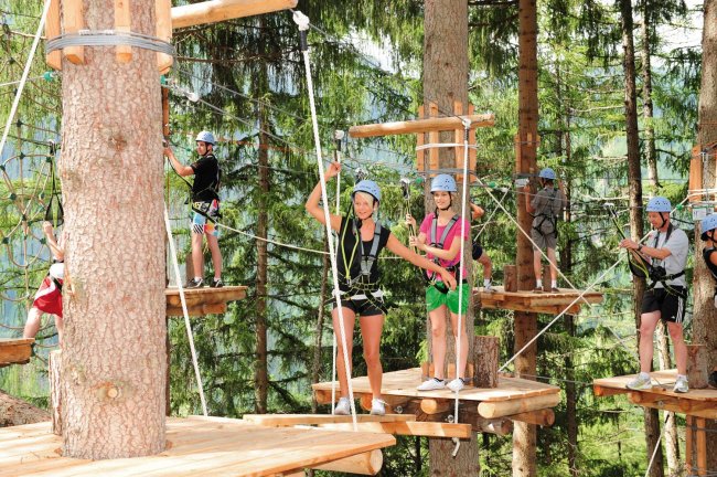 Hochseilgarten im Wald